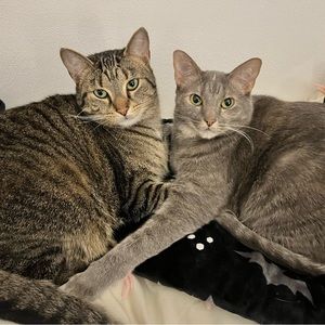 Meet your Posher, Paula